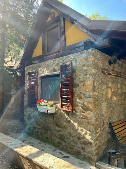 Casă cu 2 camere în Sasca Montană