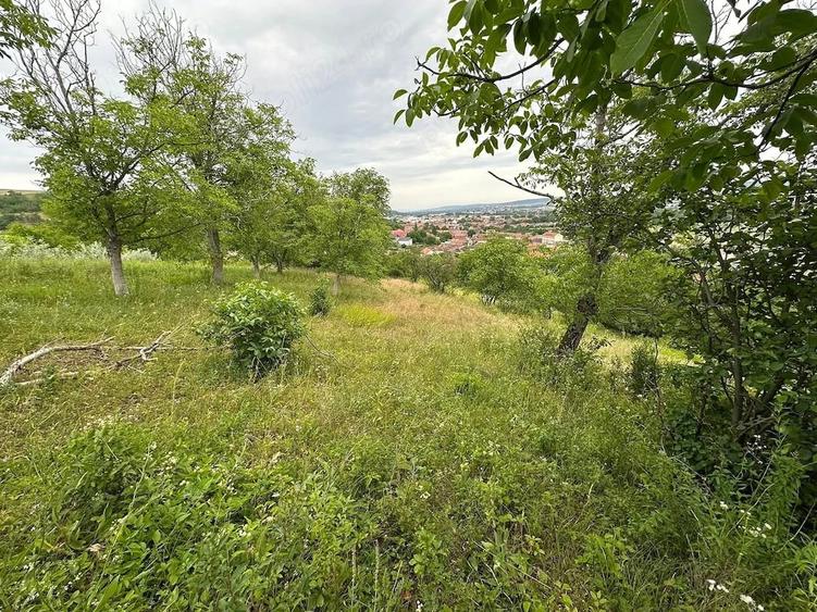 Casă cu 3 camere cu Teren 8000 Mp în Central