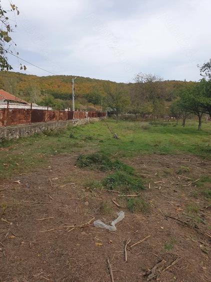 Casă cu Teren 3600 Mp în Balotești