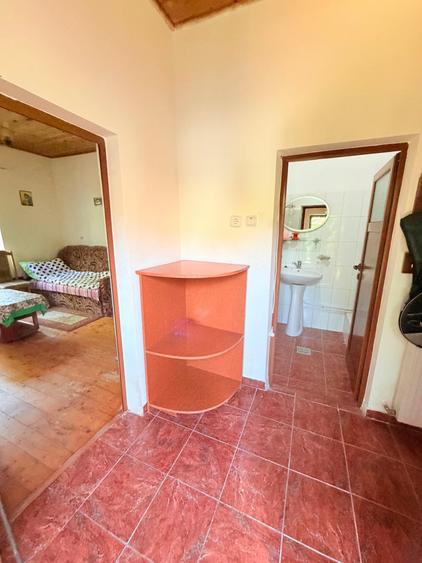 Casă individuală cu 4 camere cu Teren 6642 Mp în Pianu de Sus