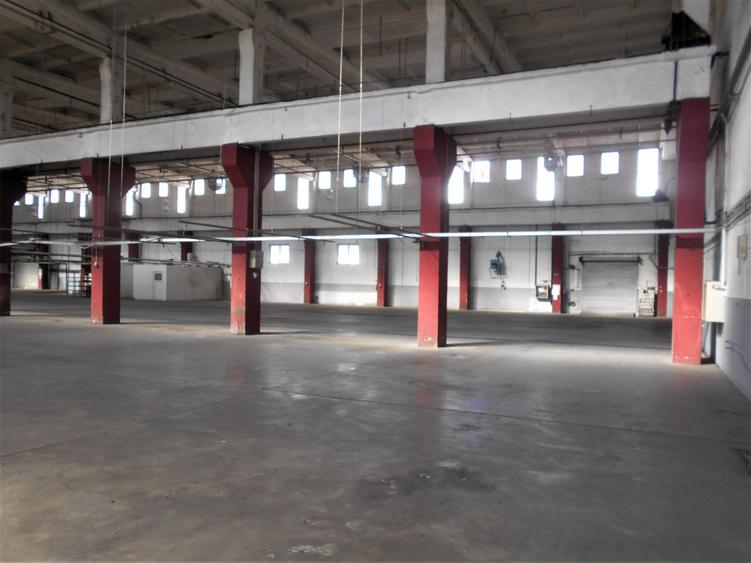Spațiu industrial, de 7,000 mp, în Lugoj
