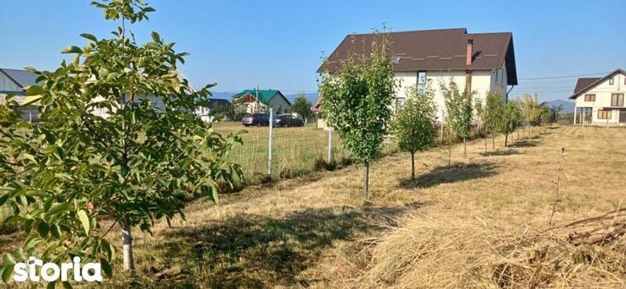 Casă cu 3 camere cu Teren 88 Mp în Berchișești