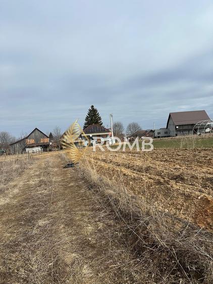 Teren agricol extravilan de 3932 mp, în Râșca
