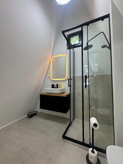 Casă individuală cu 8 camere cu Piscina în Grădiștea