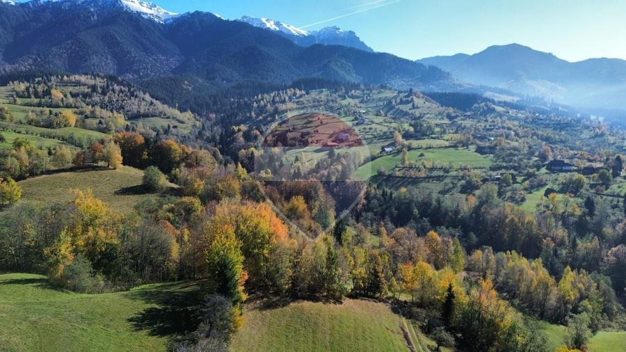 Teren agricol intravilan de 3000 mp, în Sohodol