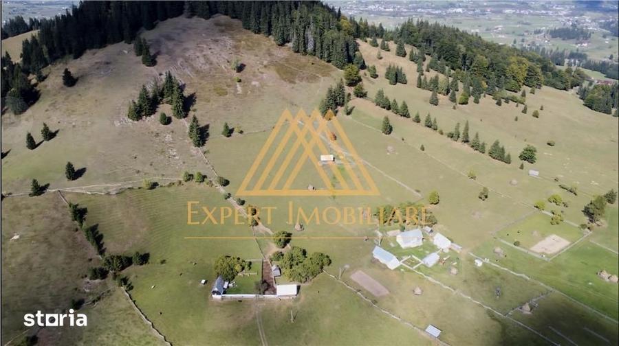 Casă cu 4 camere cu Teren 29000 Mp în Central
