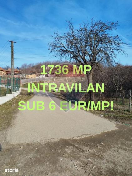 Teren de 1736 mp, în Bogați
