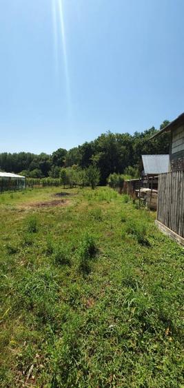 Cocorastii Colt intravilan 1381 mp , stradal, intre case la - 6