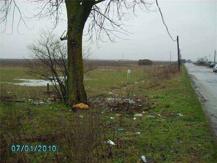 Teren de 12000 mp, în Freidorf