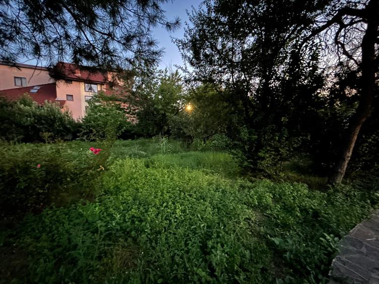Inchiriere vila Pipera - 15