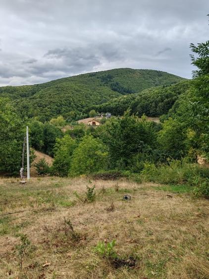 Teren Construcții intravilan de 6476 mp, în Ulmoasa