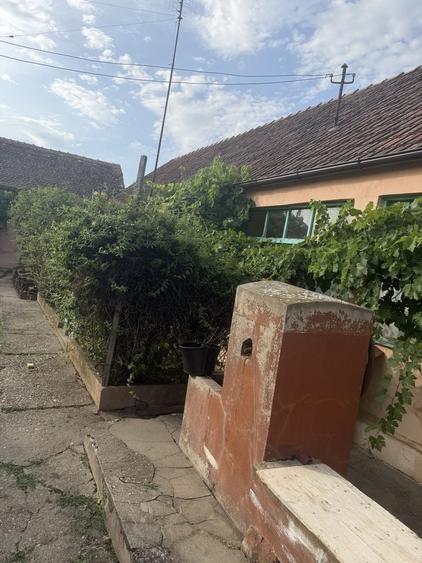 Casă cu 4 camere în Alioș
