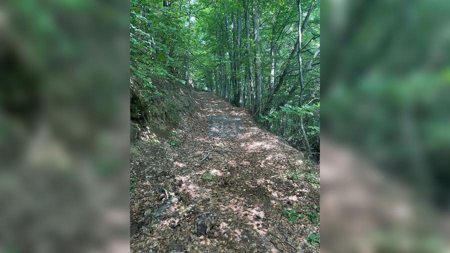 Teren cu potențial turistic, 2 parcele de 10.000 mp  Sacuieu,Cluj - 10