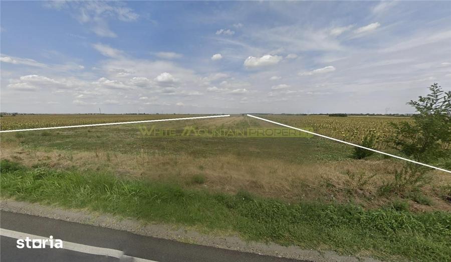 Teren de 60000 mp, în Frumușani