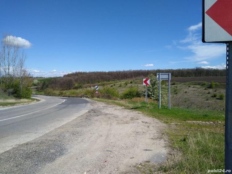 Teren de 17800 mp, în Mischii