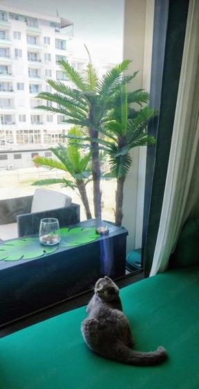 Apartament cu 2 camere semidecomandat în Mamaia