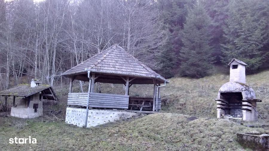 Casă cu 6 camere cu Teren 3884 Mp în Plaiul Foii
