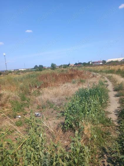 Teren de 4000 mp, în Broșteni