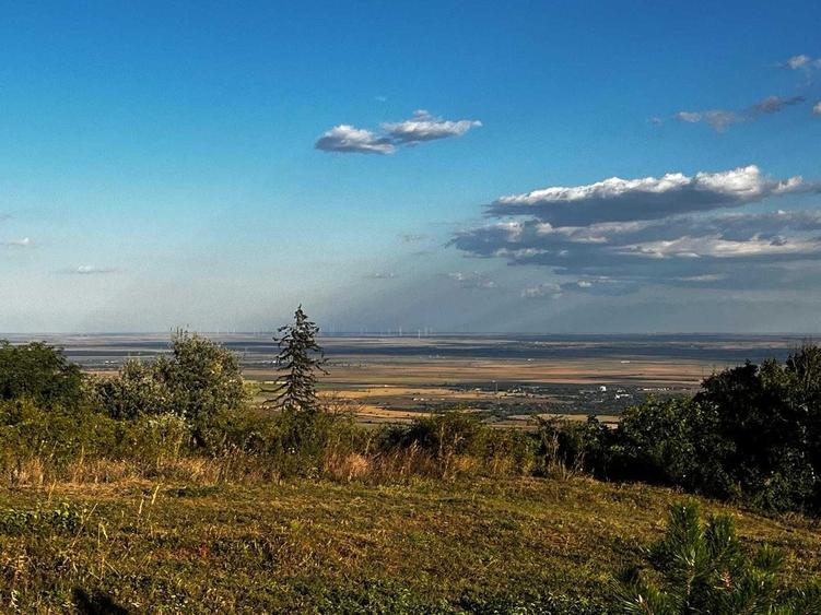 Teren de 7593 mp, în Pietroasele