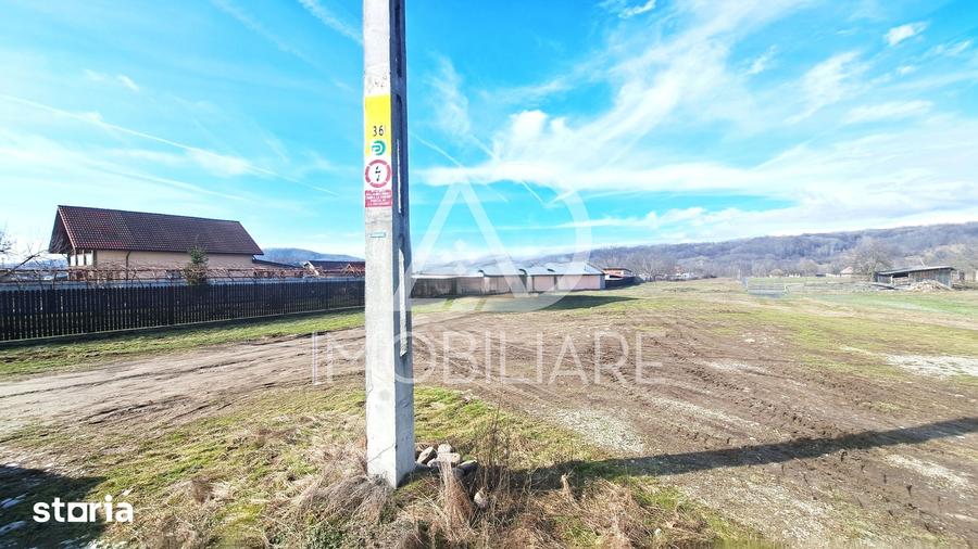 Teren de 3725 mp, în Bumbești-Pițic