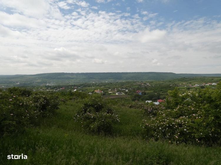 Casă cu 4 camere în Cotnari