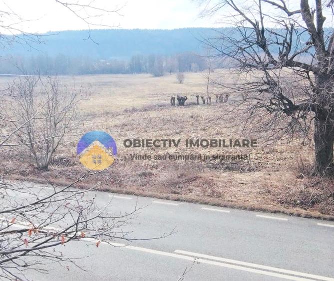 Teren intravilan de 3035 mp, în Bodești