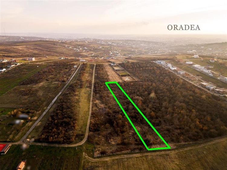 Teren intravilan de 4333 mp, în Săldăbagiu de Munte