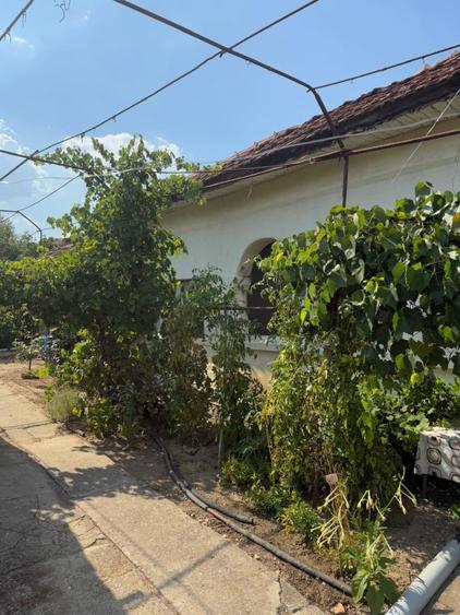 Casă individuală cu 4 camere cu Teren 2700 Mp în Mihăița