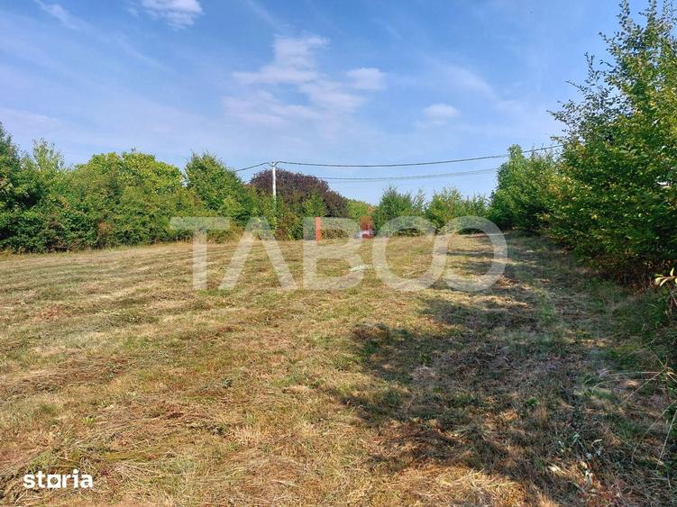 Teren intravilan 2079mp 2 fronturi PUZ curent apa langa parcela Tocile - 8