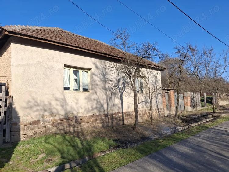 Casă cu 3 camere cu Teren 1400 Mp în Vintere