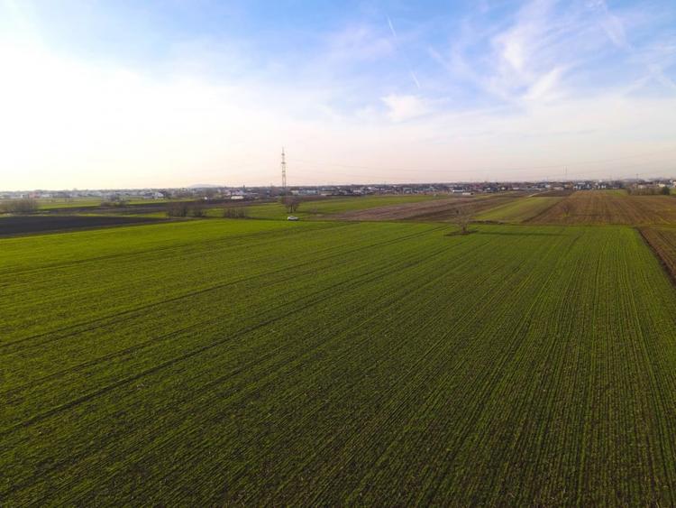 Teren agricol extravilan de 12442 mp, în Berceni