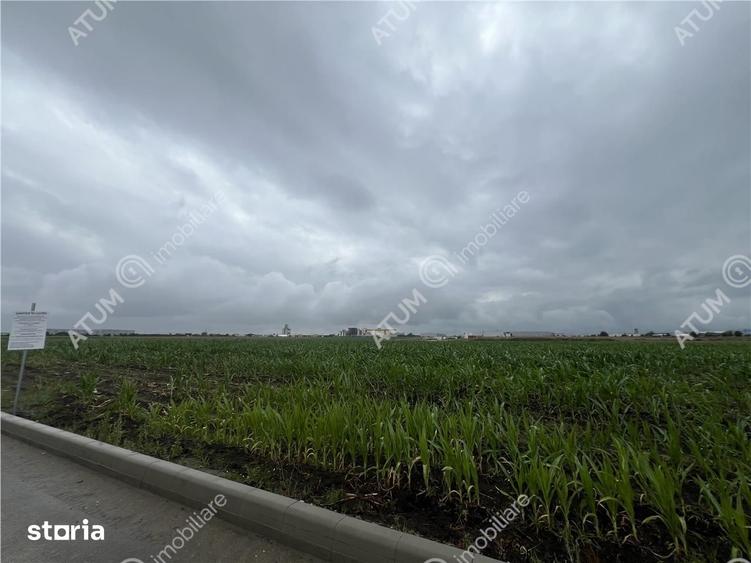 Teren intravilat de 9000 mp cu PUZ situat in zona Industriala Vest - 5