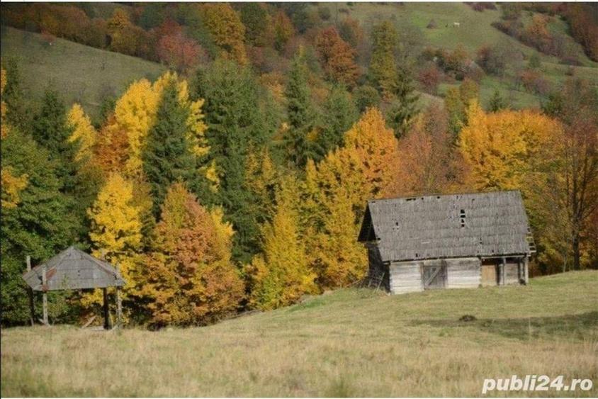 Teren de 4700 mp, în Oncești