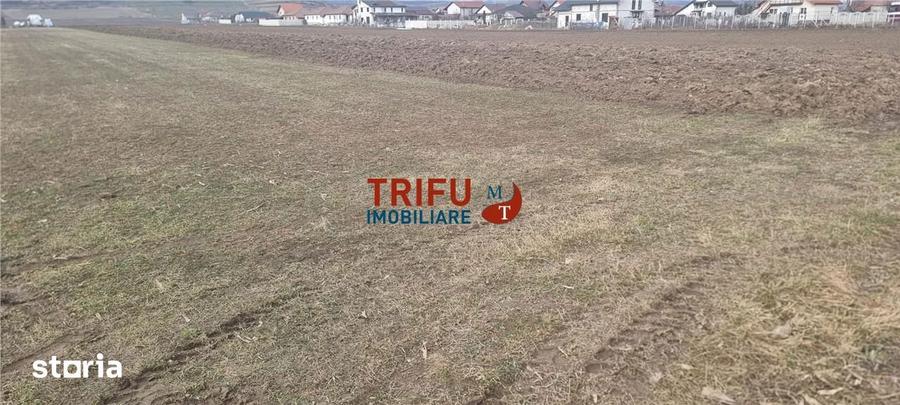 Teren de 1440 mp, în Ighiu