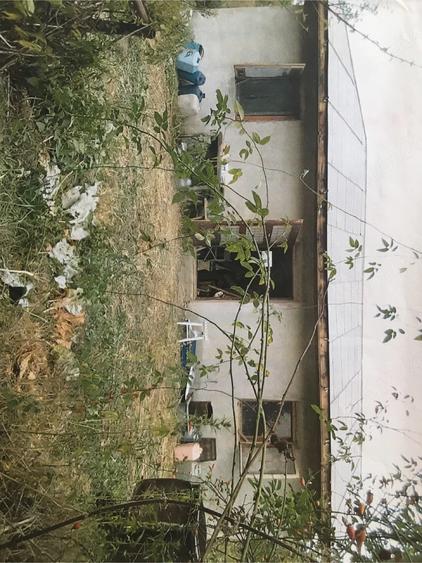 Casă cu 2 camere cu Teren 1500 Mp în Constantinești