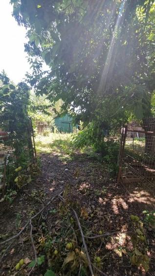 Apartament cu 3 camere decomandat în Otopeni