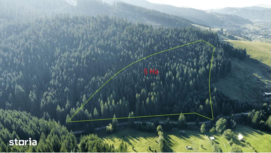 Teren de 67524 mp, în Vatra Moldoviței
