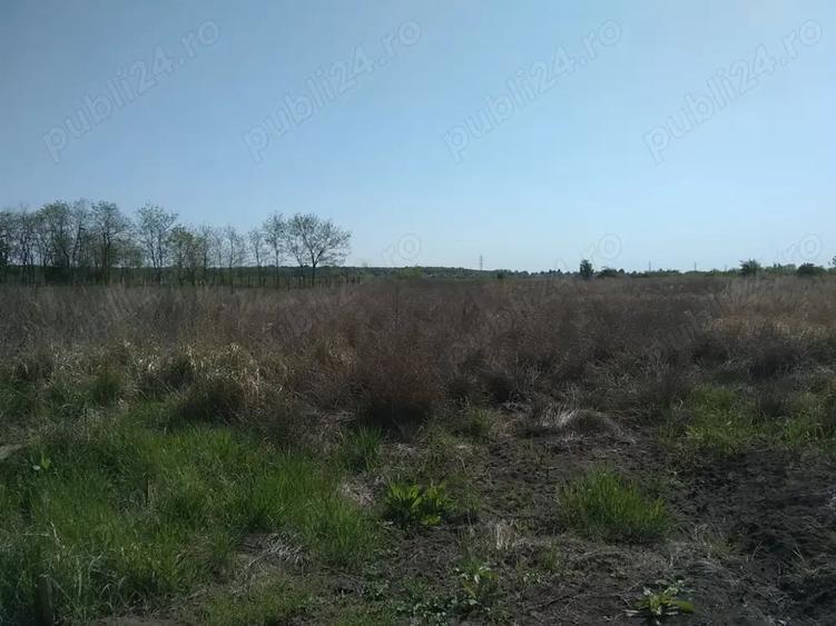 Teren de 1000 mp, în Periș