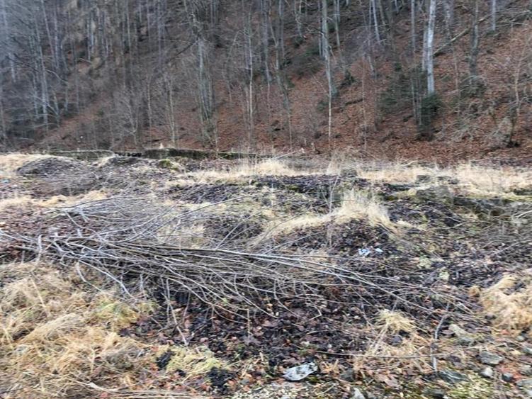 Teren Construcții intravilan de 39000 mp, în Ultracentral