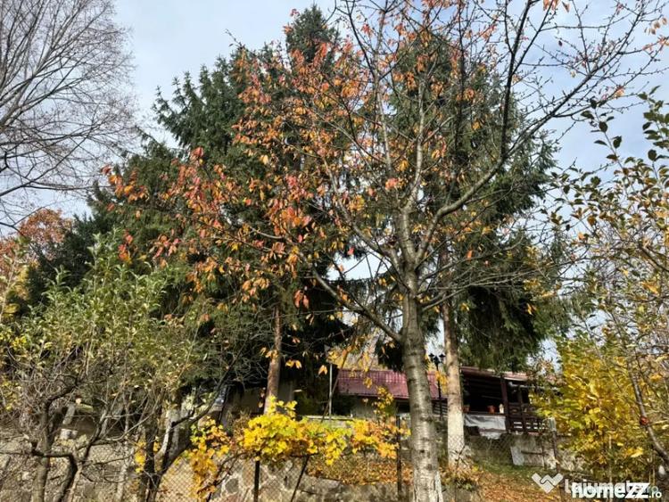 Casa moderna cu priveli?te panoramica ideala pentru - 2