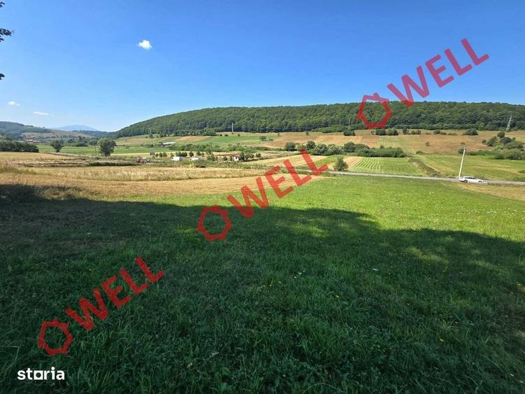 Spațiu comercial, în Valea Mare