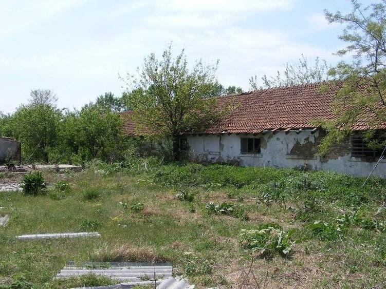 Teren agricol intravilan de 9795 mp, în Rădoiești
