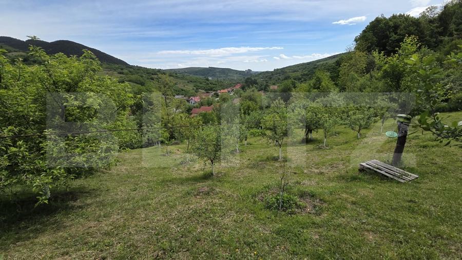 Casă individuală cu 3 camere cu Teren 4300 Mp în Ampoița