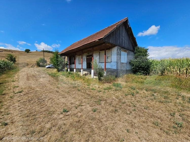 Casa de vanzare in Unirea, cu teren de 2.901 mp - 3