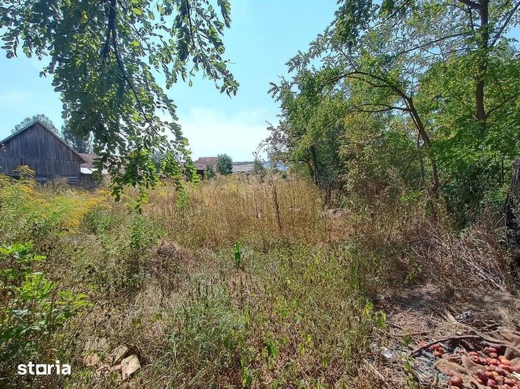 Casă cu 2 camere cu Teren 1100 Mp în Mica