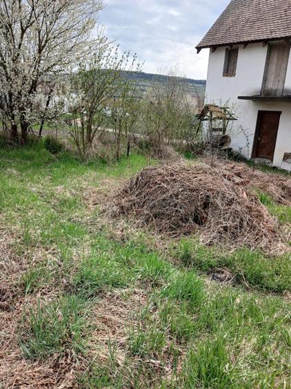 Casă cu 3 camere în Topârcea