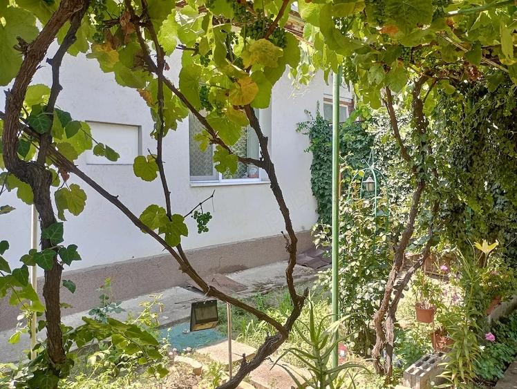 Apartament cu 3 camere semidecomandat în Șagului