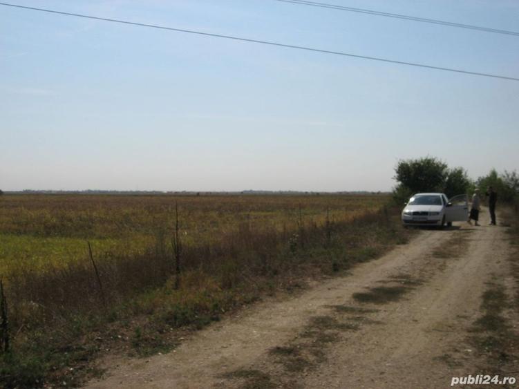 Teren de 6666 mp, în Dărăști-Ilfov