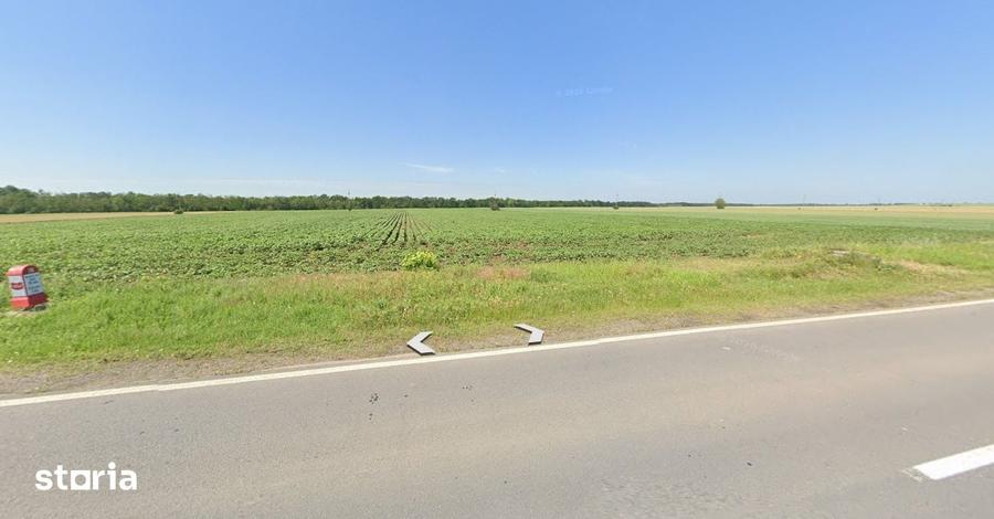 Teren de 11900 mp, în Scrioaștea