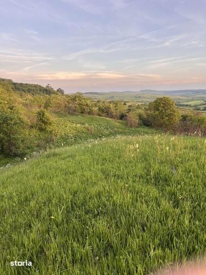 Teren de 11000 mp, în Brădeni